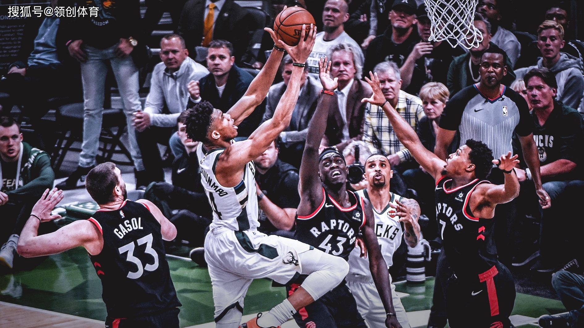 theyarehungry对hungry提问